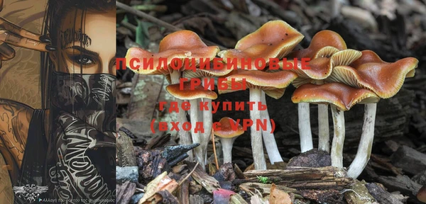 бошки Зеленокумск