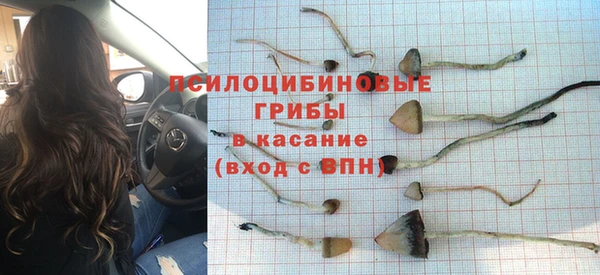 бошки Зеленокумск